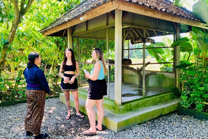 Discover The Best of Ubud: All-Inclusive and Private Guided Tour