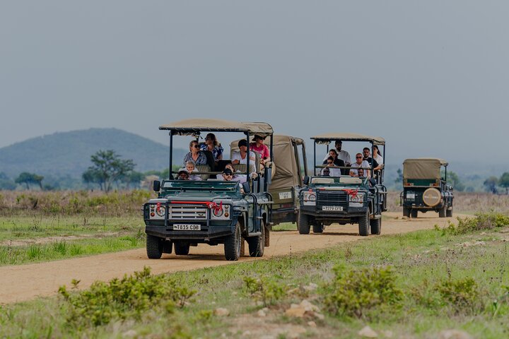 1-Day Mikumi National Park Fly-In Safari from Zanzibar