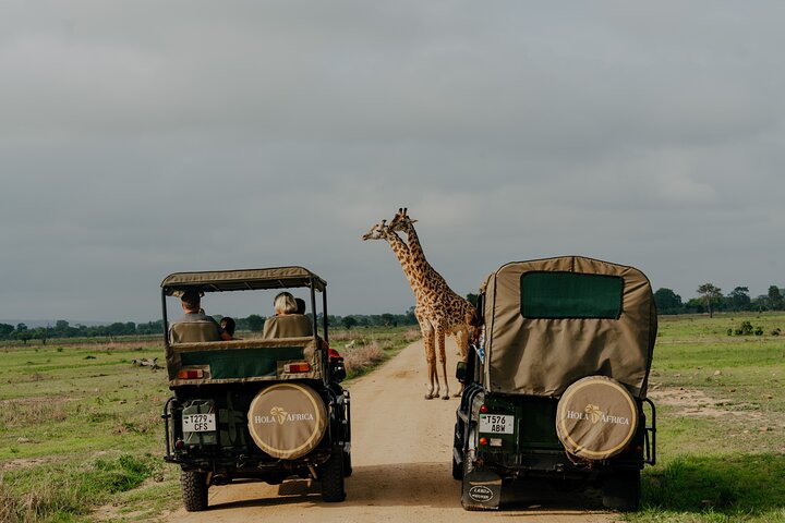 1-Day Mikumi National Park Fly-In Safari from Zanzibar