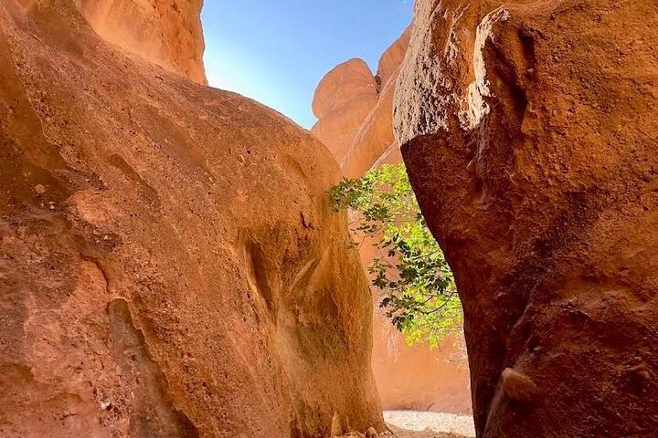 Private Hike to Monkey Fingers Canyon
