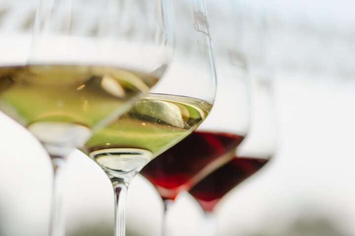 Wine and Cheese Discovery