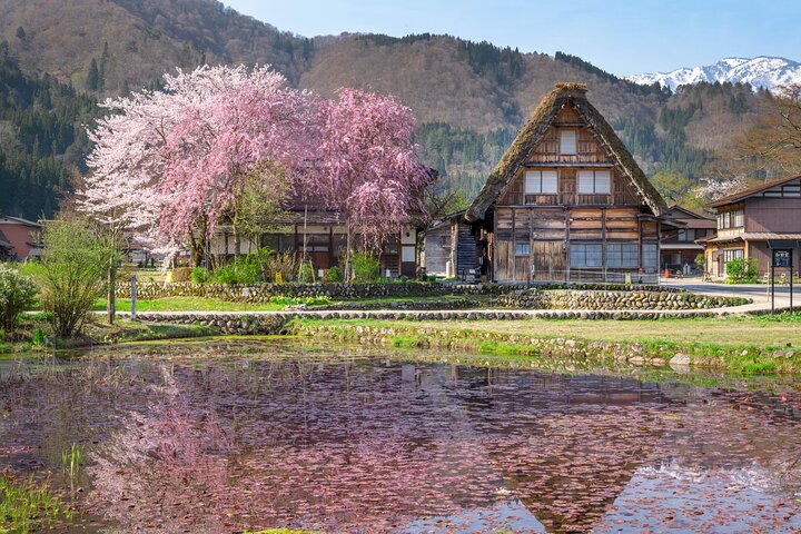 Gujo, Hida Takayama, and Shirakawa-go Day Tour from Nagoya
