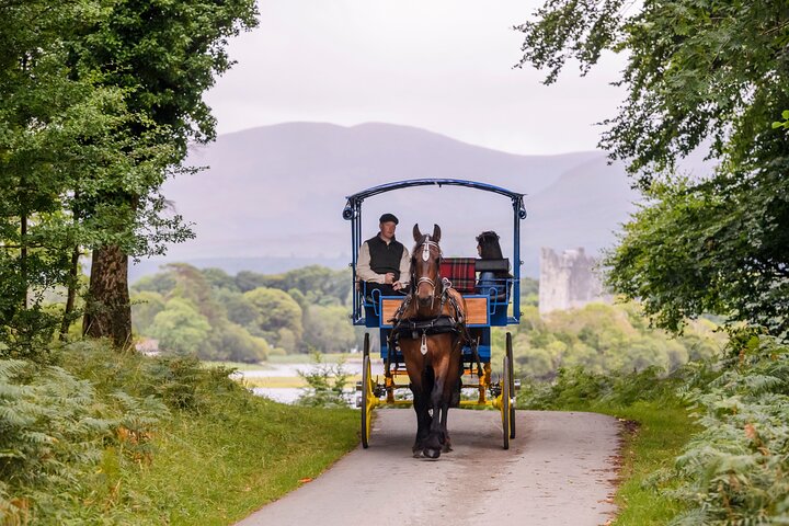 Combination Killarney Jaunting Car Tour and Lakes of Killarney Cruise