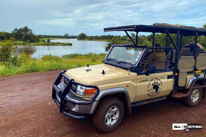 Exclusive Night Drive Safari near Hoedspruit