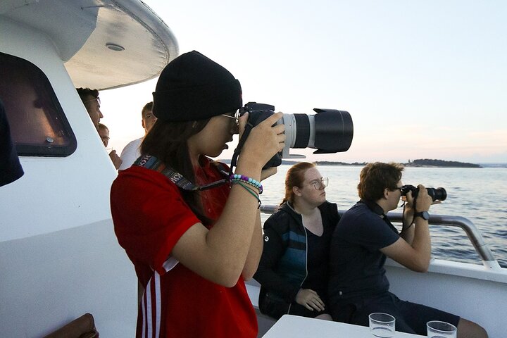 Dolphin Watching & Sunset Boat Tour With Drinks & optional Dinner