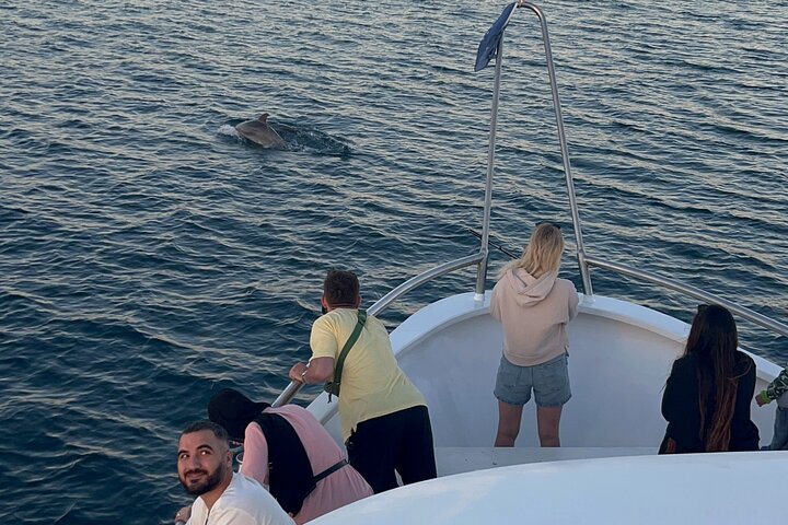 Dolphin Watching & Sunset Boat Tour With Drinks & optional Dinner