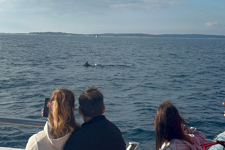 Dolphin Watching & Sunset Boat Tour With Drinks & optional Dinner