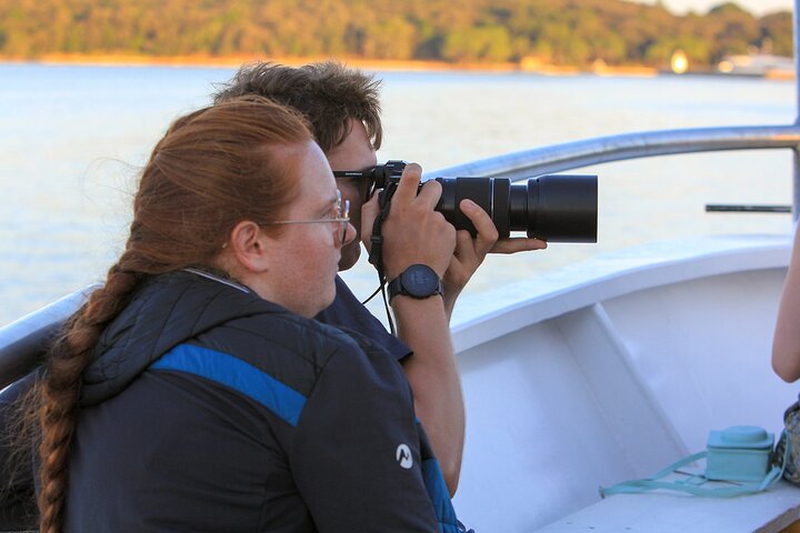 Dolphin Watching & Sunset Boat Tour With Drinks & optional Dinner