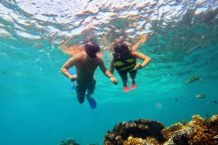 Fiji’s Ultimate Snorkelling Trip - Ride & Slide