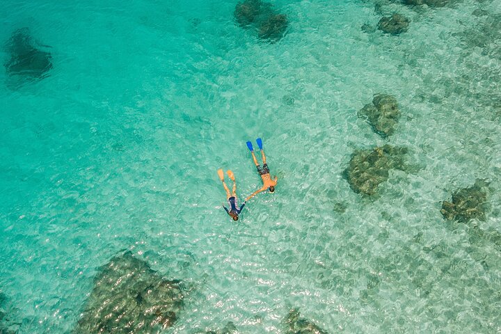 Fiji’s Ultimate Snorkelling Trip - Ride & Slide