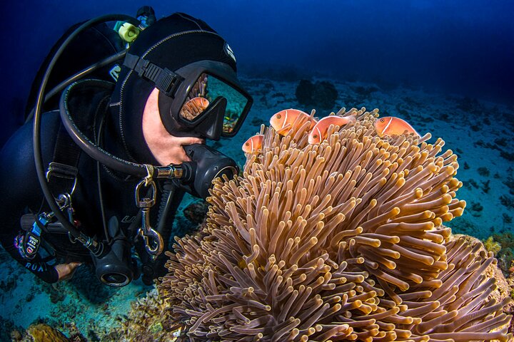 Passions of Paradise Great Barrier Reef Cruise by Catamaran