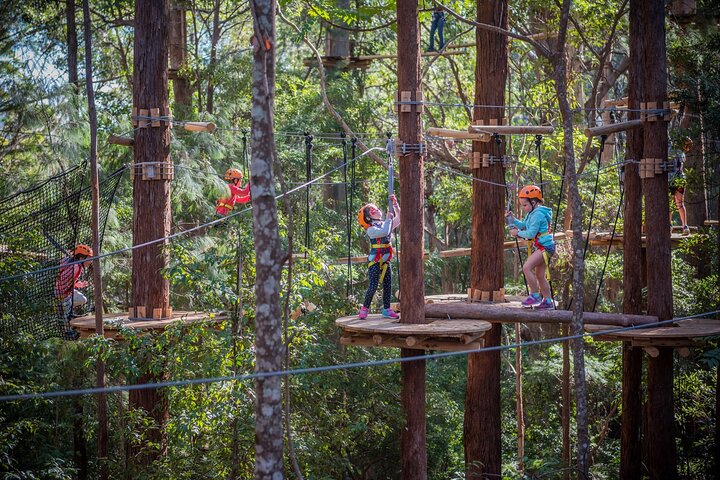 Lane Poole Park Dwellingup - Junior Tree Ropes & Ziplining