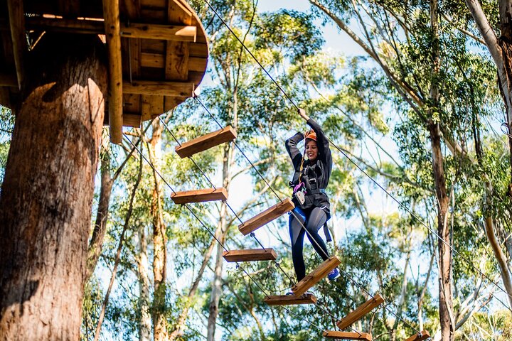 Treetops Adventure Coffs Harbour Tree Ropes Course