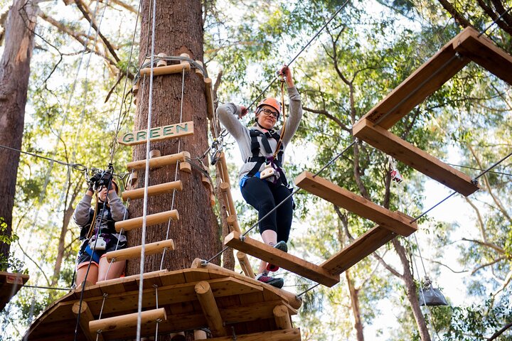 Treetops Adventure Coffs Harbour Tree Ropes Course