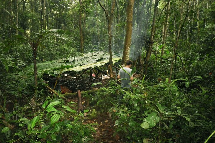 The Forbidden Trail: 4 Days of Exclusive Jungle & Secret Villages