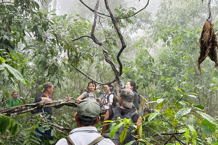 Nam Ha Ultimate Wilderness: The 5-Day Ethnic & Jungle Expedition