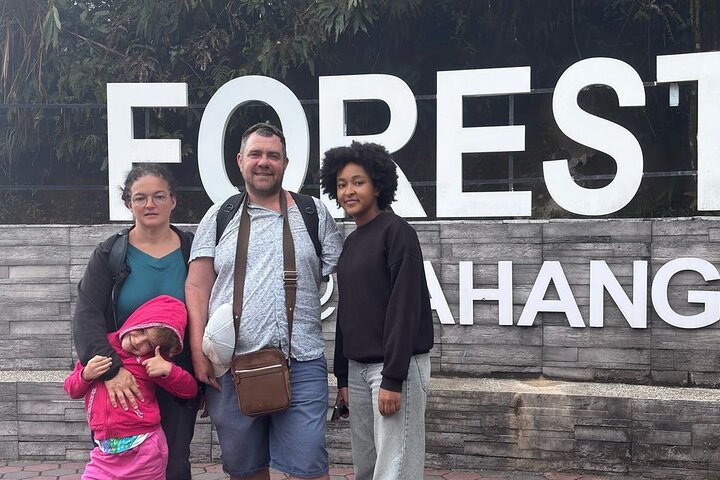 Cameron Highlands Day Trip from Ipoh with Lunch & Mossy Forest
