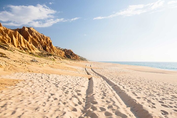 Private Luxury Transfer Between Lisbon and Comporta