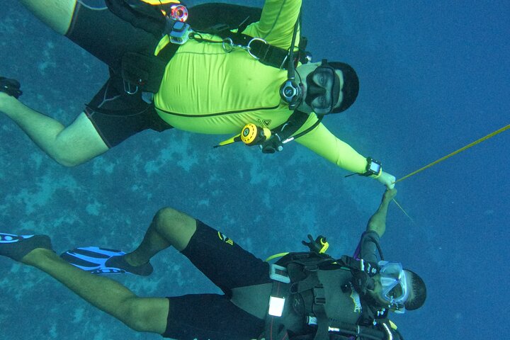 Full Day Dolphin Watching with Snorkeling in Wasini