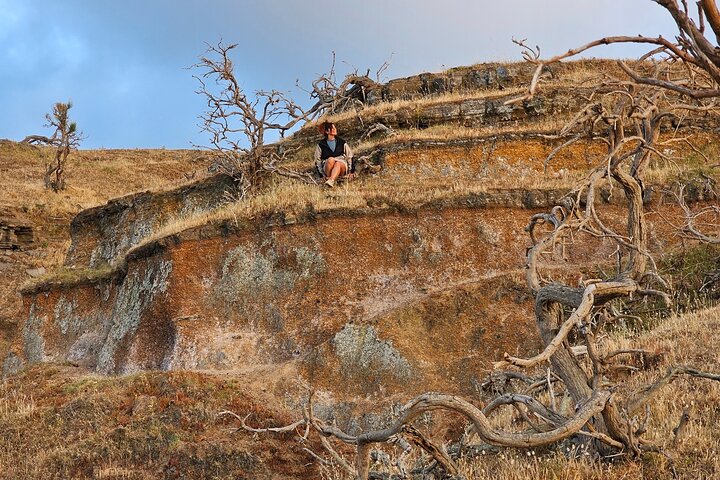 Island of Vulcano Trekking through Woods, Caves and Volcanic Landscapes