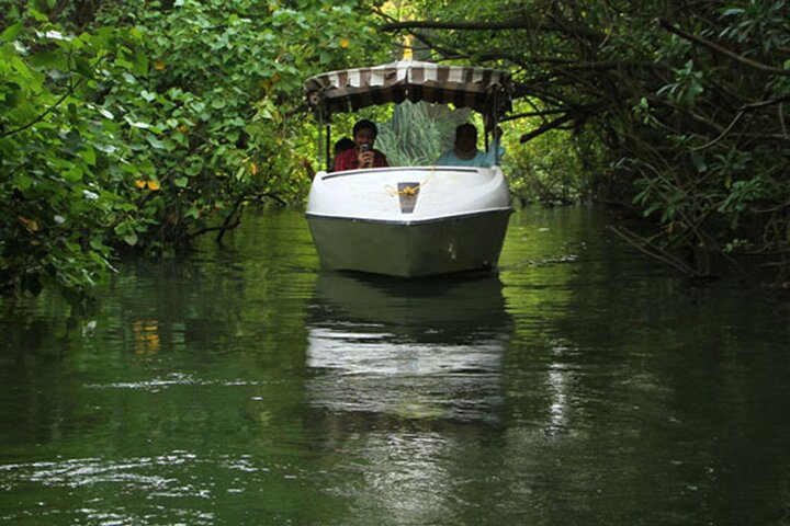 Poovar Backwater boating and Trivandrum Day Trip