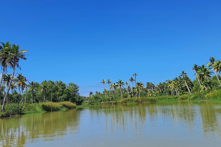Poovar Backwater boating and Trivandrum Day Trip