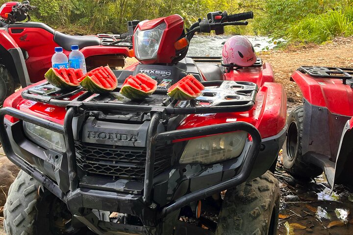 La Fortuna ATV Adventure with Mud Mask and Arenal Volcano Views