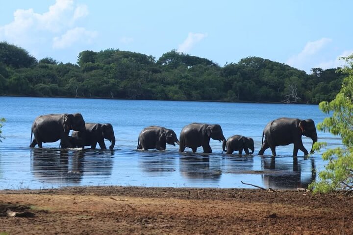 Yala National Park Safari Tour From Hambantota Port