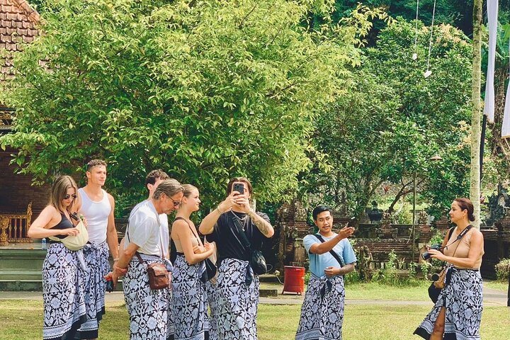 Ubud Private Tour: Waterfalls, Temple and Rice Terraces Swing