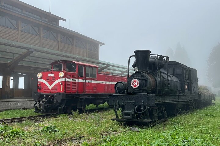 Alishan Join-in Day Tour from Kaohsiung (Incl. Park Entrance)