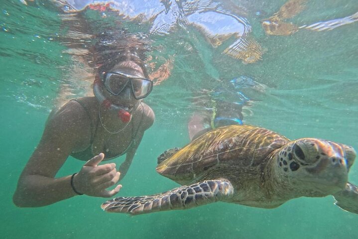 Mirissa Unforgettable Snorkeling Experience with Turtles