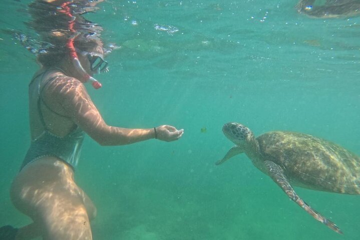 Mirissa Unforgettable Snorkeling Experience with Turtles