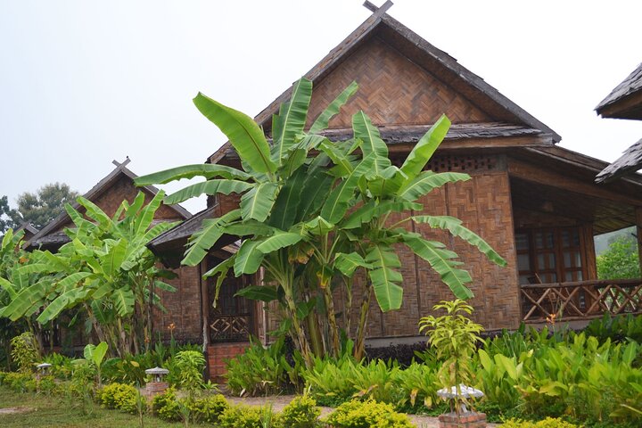 Bungalows & Bamboo Trails: A 4-Day Luang Namtha Cultural Retreat