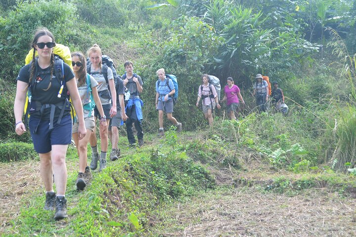 Bungalows & Bamboo Trails: A 4-Day Luang Namtha Cultural Retreat