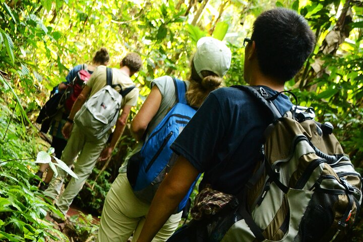 Bungalows & Bamboo Trails: A 4-Day Luang Namtha Cultural Retreat