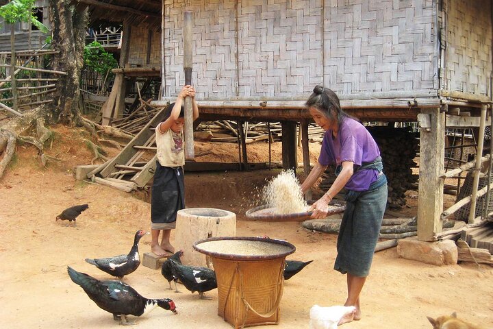 Bungalows & Bamboo Trails: A 4-Day Luang Namtha Cultural Retreat