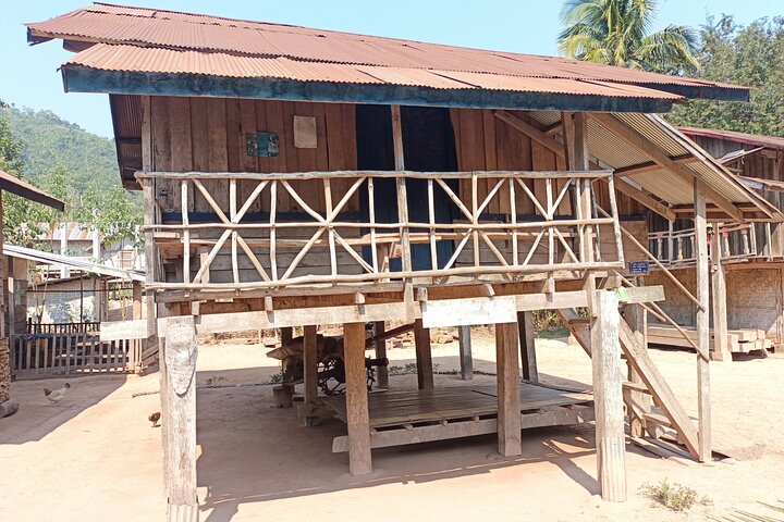Bungalows & Bamboo Trails: A 4-Day Luang Namtha Cultural Retreat