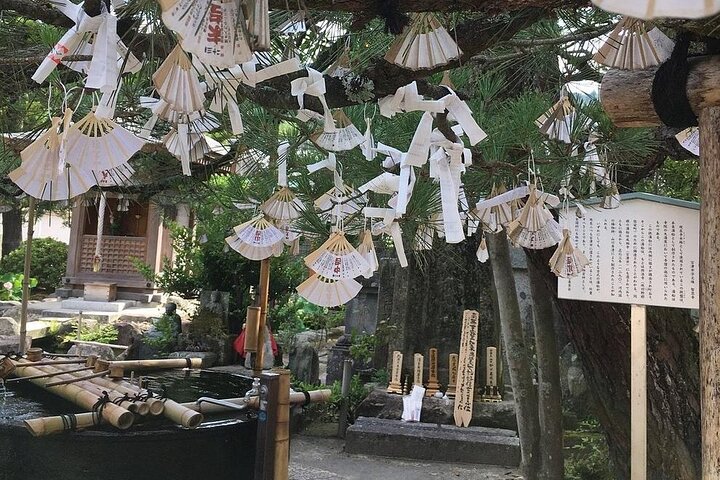 Amanohashidate & Ine Funaya Sightseeing Full Day Trip from Kyoto