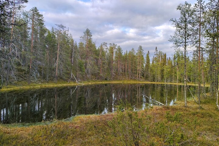 Private Hiking Tour in the Pristine Nature in Pyha Luosto