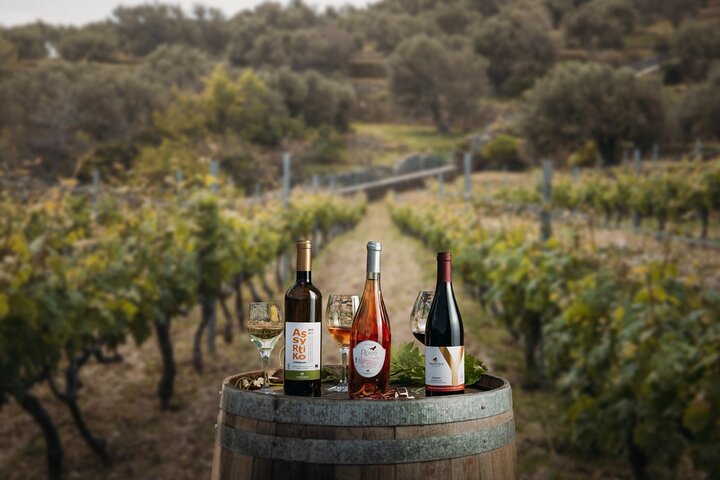 Seafarers' Village & Vineyard Visit, Wine Tasting - Half Day Tour