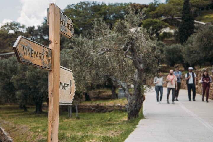 Seafarers' Village & Vineyard Visit, Wine Tasting - Half Day Tour