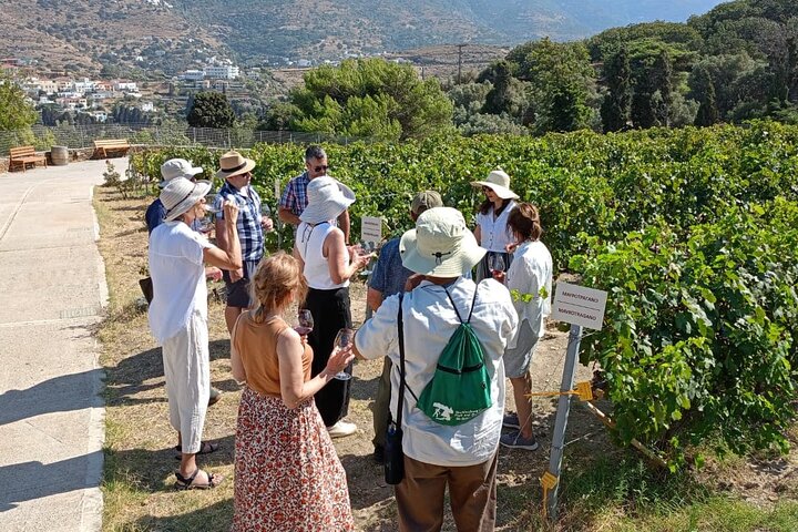 Seafarers' Village & Vineyard Visit, Wine Tasting - Half Day Tour