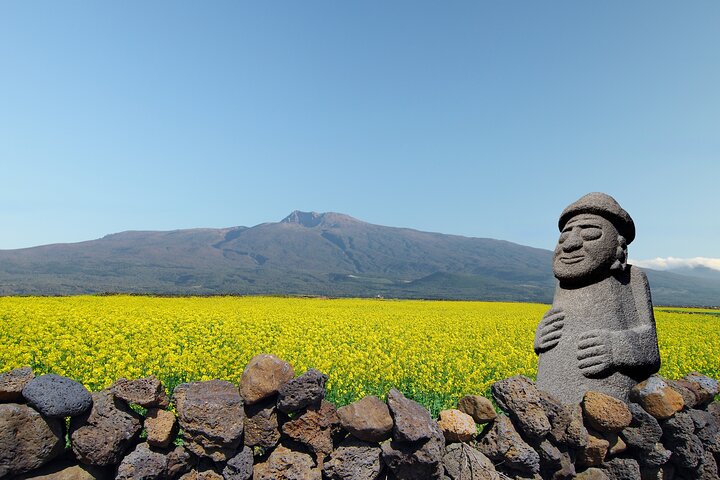 Full-day Customizable Private Jeju Island Tour