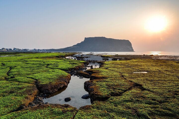 Full Day Essential Jeju Island Private tour for West Course