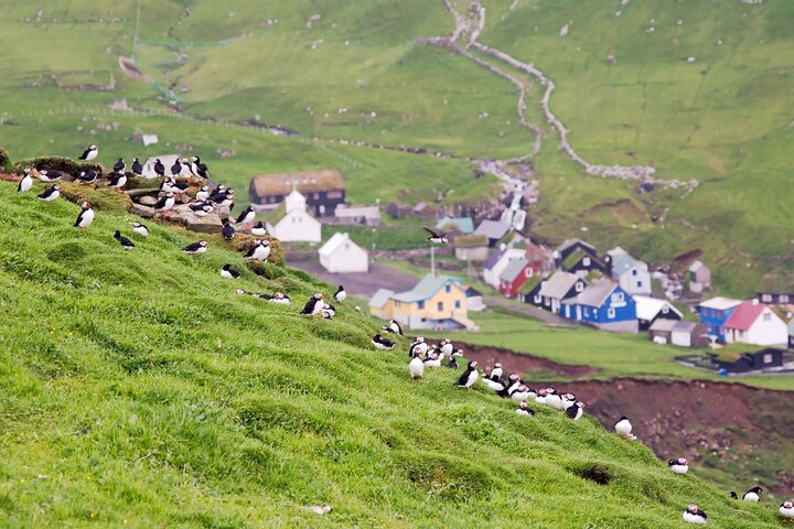 Mykines Private Hike and Tour Adventure