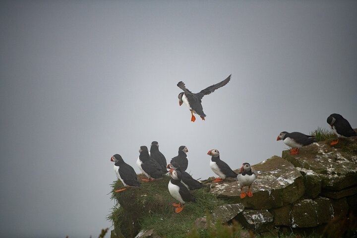 Mykines Private Hike and Tour Adventure