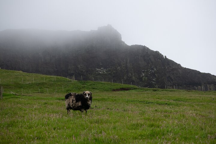 Mykines Private Hike and Tour Adventure