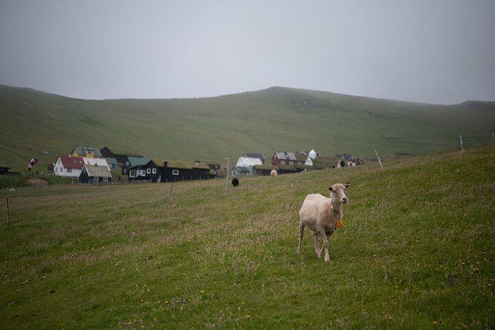 Mykines Private Hike and Tour Adventure