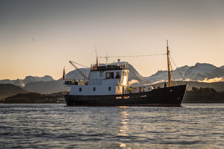 Fishing Trip in Alesund