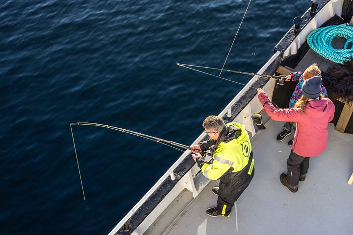 Fishing Trip in Alesund